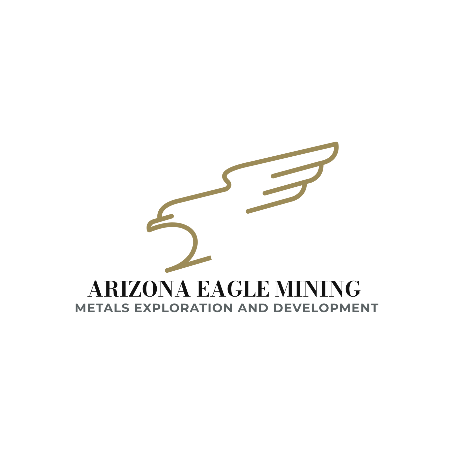 Arizona Eagle Mining